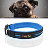 Reflective Dog Collar & Lead Set, Blue, Small (2.0*35*40cm)