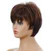 WIG-155 Ladies Short Curly Wig High Temperature Silk Chemical Fiber Headgear(Brown)