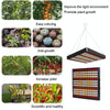 Large 169 LEDs Quantum Plant Growth Lighting Outdoor Full Spectrum Planting Lamp(EU Plug)