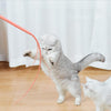 Silicone Cat Teaser Wand - Blue - 77cm
