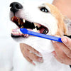 10x Double-Ended Pet Toothbrushes, Blue, Medium, Dog & Cat