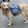 Dog Backpack Carrier Breathable Mesh Travel Bag, Blue, Medium