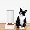 Pet Automatic Feeding Water Feeder Pet Supplies(Automatic Feeder)