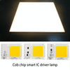 High Power 220V LED FloodlightCool/Warm White COB LED Chip IP65 Smart IC Driver Lamp(30W white)