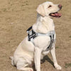 Heavy Duty Dog Harness & Lead, Red, XXL - No Pull, Padded, Reflective