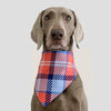 Waterproof Dog Triangle Bib, XS (Blue/Orange)