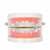 Hip-HopGold-Plated Micro-Inlaid Zircon 8 Gold Braces, Colour: Gold Upper Teeth