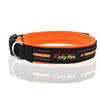 Reflective Dog Collar & Lead Set, Orange, Small (2.0*35*40cm) - Breathable Polyester