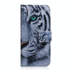 For Asus Zenfone 9 Coloured Drawing Leather Phone Case(Tiger)