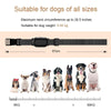 Dog Training Collar 400m Remote IP68 Waterproof Rechargeable T300