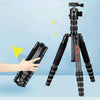 BEXIN BX285C K36 Portable Carbon Fiber Tripod for Dslr Digital DV Camcorder