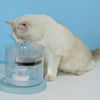 Automatic Pet Water Fountain, 1.8L, Silent, USB, US Plug, Transparent