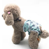 Dog Diapers, Female Season Pants, S (25-35cm)