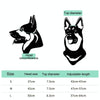 Small Black Pet Helmet - Dog & Cat Safety Hat