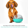 Slow Feeder Dog Bowl, Tumbler Toy, Anti-Choking, Emerald Green