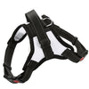 K9 Breathable Dog Harness, White, XS - Adjustable & Lightweight