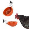 Automatic Chicken Waterer Cups Chicken Water Feeder Random Color