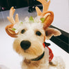 Christmas Antler Headband for Dogs & Cats - Large