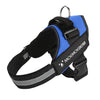 Heavy Duty Dog Harness XXL Blue - No Pull Chest Strap with Traction Rope (40-70kg)