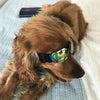 Dog Sunglasses Black, UV Protection, Small/Medium Pets