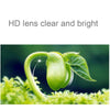 Rimless Anti Blue-ray Blue Film Lenses Presbyopic Glasses, +3.50D(Black)