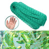 4Mx10M  Anti Bird Protection Net Mesh Garden Plant Netting Protect Plants and Fruit