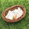 3 Sets 1:12 Mini Dollhouse Ornaments Small Rabbit Pocket Rabbit Nest Scene Decoration Props