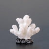 10 White Resin Coral Ornaments - Aquarium Fish Tank Decor