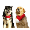 Christmas Dog Scarf XL | Wool | Large/Medium Breeds