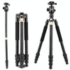 QingZhuangShiDai  Q999B Portable and Stable Photography SLR Digital Camera Tripod(Gold)