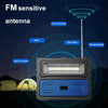 DV-690 Dual LED Light Solar Wireless Bluetooth Speaker Outdoor Camping FM Radio(Black)