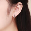 S925 Sterling Silver Earrings Heart-shaped Inlaid Zircon Earrings