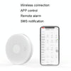 WiFi Smoke & CO Alarm Detector - Smart Home Safety Alert