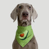 Avocado Dog Scarf - Waterproof & Absorbent - Size M