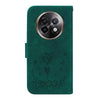 For Realme 13+ Global Butterfly Rose Embossed Leather Phone Case(Green)