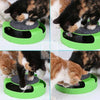 Interactive Cat Turntable Toy - Catch the Mouse