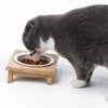 Bamboo Elevated Ceramic Cat Bowl - Single