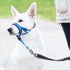 Riot Rush Dog Muzzle Leash Cover - XL Blue - Anti-Pull & Bite