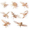 5 PCS MQY005 Children Educational Early Education DIY Hand-Assembled 3D Animal Model Puzzle Toy(Beetle)
