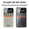 Rolton T1 Portable Radio Receiver Old People Singing Opera Player Mini Stereo Walkman(Gold)
