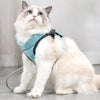 Cat Harness & Leash, Green, Small (1.5-3kg)