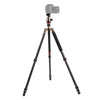 Triopo GT-2504X8.C Adjustable Portable Carbon Fiber Tripod with B-1 Aluminum Ball Head for Canon Nikon Sony DSLR Camera