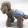 Dog Sanitary Pants, XL, Yellow Duck - Reusable & Washable