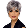 Wig-332 Silver Gray Ladies Short Straight Hair Wig High Temperature Silk Chemical Fiber Headgear