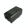 2 in 1 Digital Camera Battery Charger for CASIO CNP100(Black)