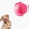 Portable Dog Water Bottle 500ml, Pink - Leakproof & Travel-Friendly