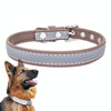 Reflective PU Leather Dog Collar, XXL, Light Brown - CL181K