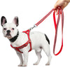 Reflective Dog Lead & Leash Set, Red, Small (S) - Nylon