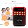 Portable Rechargeable FM Radio Receiver Speaker, Support USB / TF Card / Music MP3 Player(Red)