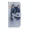For Asus Zenfone 9 Coloured Drawing Leather Phone Case(White Wolf)